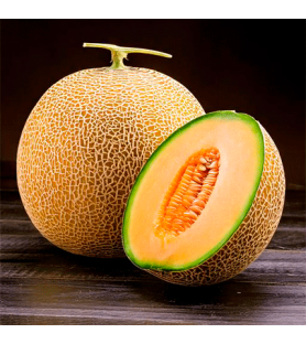 Melon Ice Cream flavour